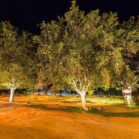 Forestville Yala Luaran gambar