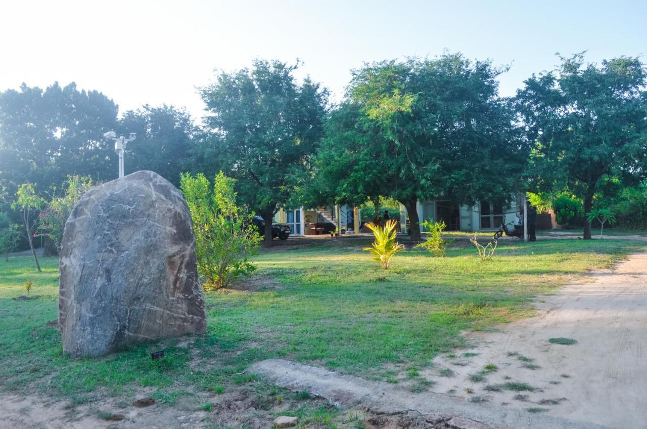 Forestville Yala Luaran gambar
