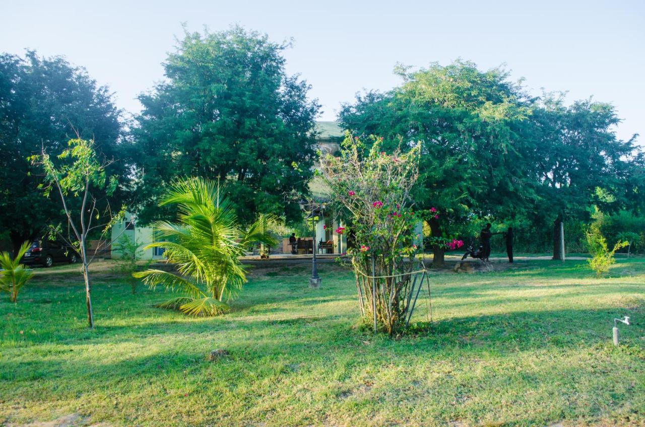 Forestville Yala Luaran gambar
