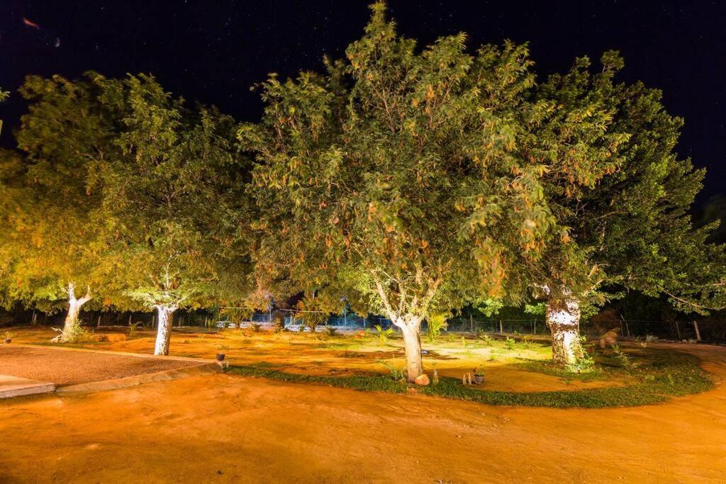 Forestville Yala Luaran gambar