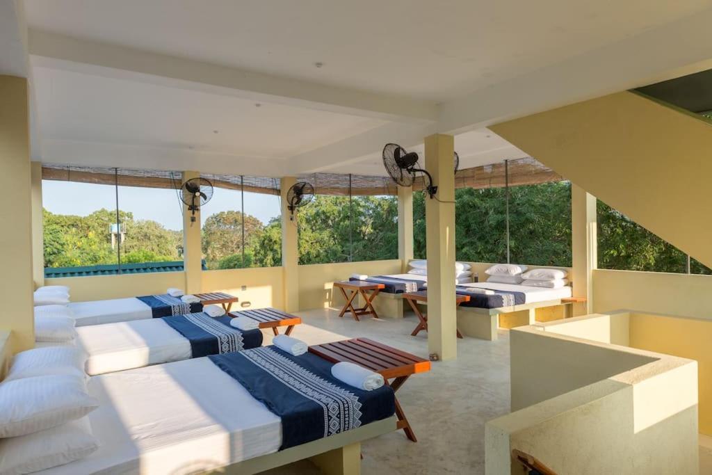 Forestville Yala Luaran gambar