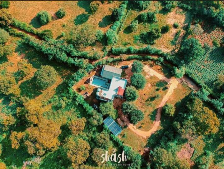 Forestville Yala Luaran gambar