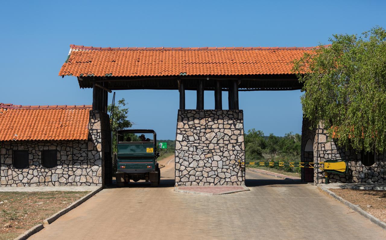 Forestville Yala Luaran gambar