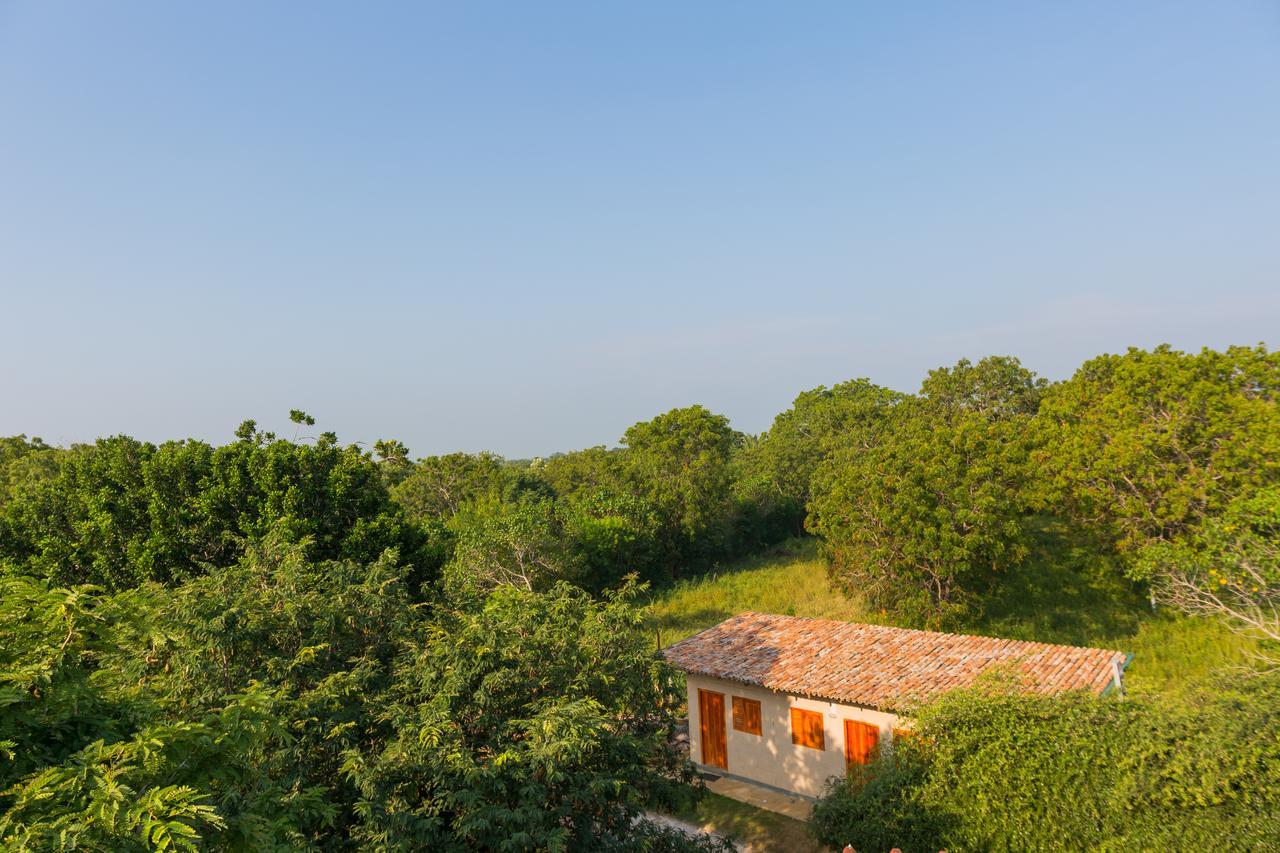 Forestville Yala Luaran gambar
